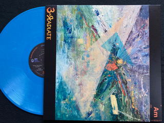 EARadiate auralMixation Back Album Cover + Red + Blue Vinyl Pic